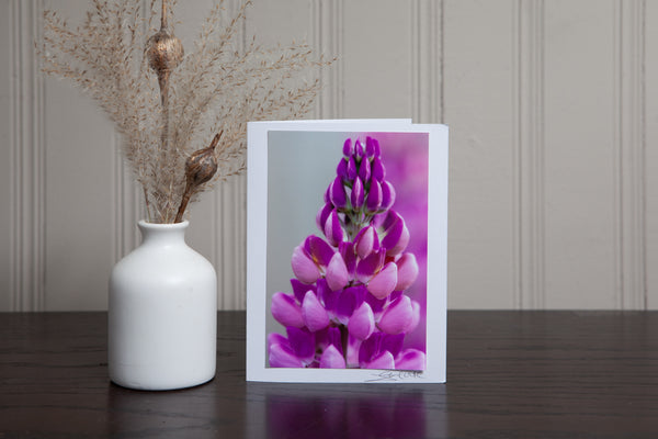 photo greeting card of close up picture of a pink lupine. The 4x6 photo is mounted to white cardstock and signed by the artist Laura Cook in the bottom right corner. 