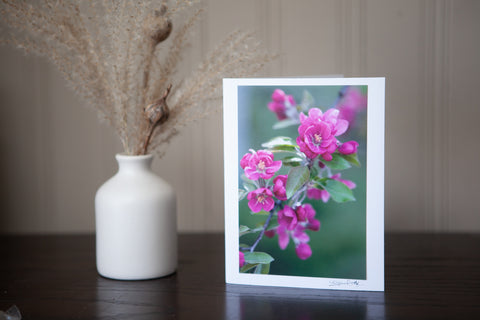 photo greeting card featuring image of deep pink spring buds ( crab apple blossoms ) mounted on a white card stock and signed by the artist laura cook in the bottom right hand corner