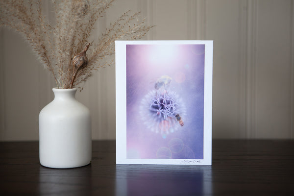 photography greeting card featuring a 4x6 print of two bees collecting nectar from the centre of a purple echinops flower mounted to sturdy white cardstock and signed by the artist Laura Cook in the bottom right corner  