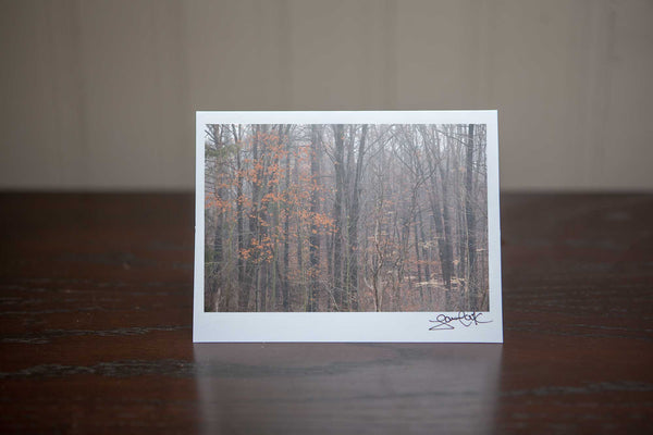 Photo greeting card featuring 'Into the Woods' a photograph by Cambridge Photographer Laura Cook of Vision Photography of a fall misty forest, rich brown trees without their leaves and a tree with orange leaves giving the image a pop of colour. This photo is high drama. 