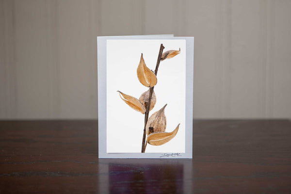Christams greeting card featuring an image of close up milkweeds set against the wintery white snow Photo by Cambridge Ontario Photographer Laura Cook of Vision Photography
