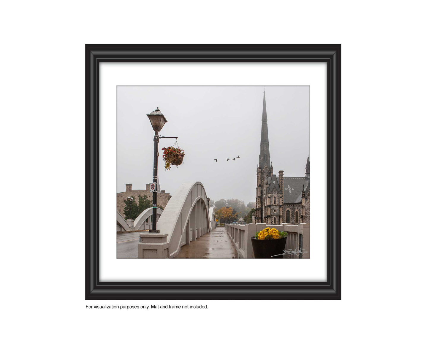 add to your art collection with theses colourful, inspiring photography prints by Laura Cook