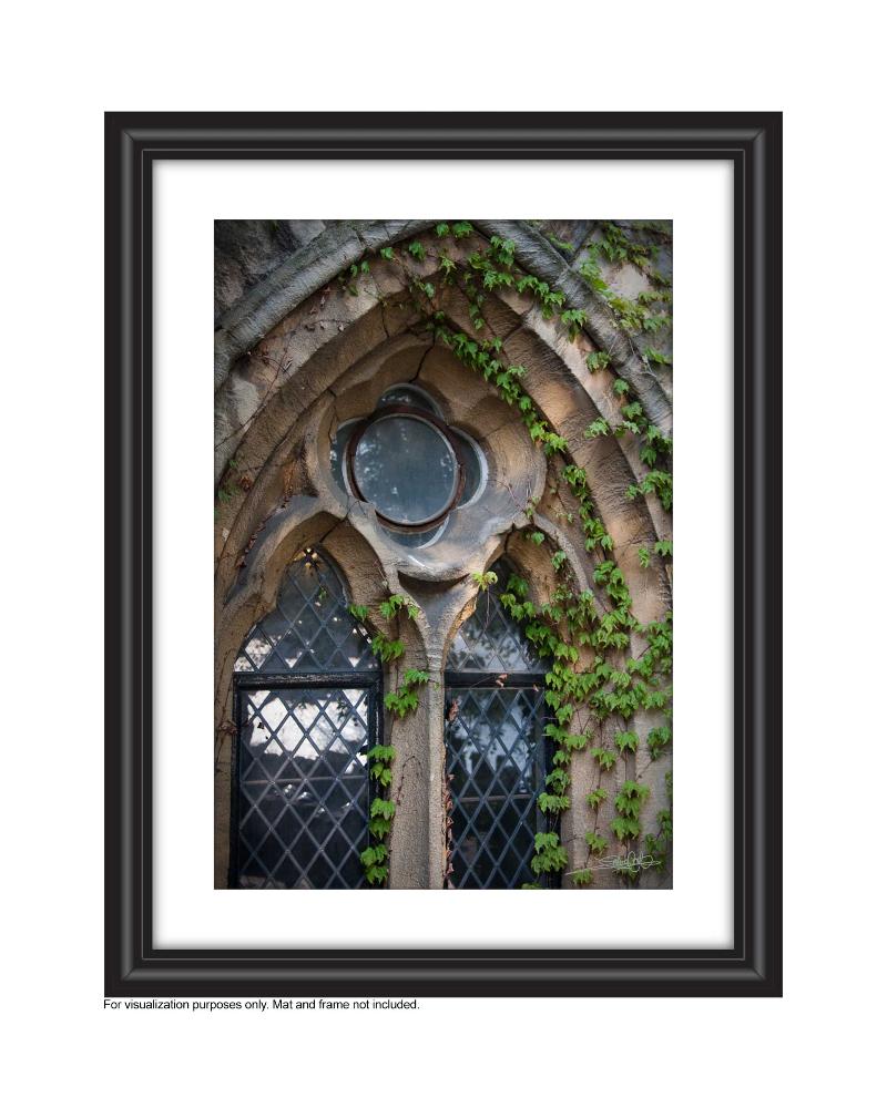 add to your art collection with theses colourful, inspiring photography prints by Laura Cook