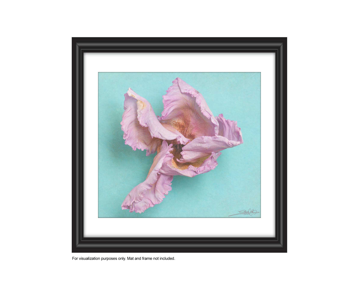 add to your art collection with theses colourful, inspiring photography prints by Laura Cook