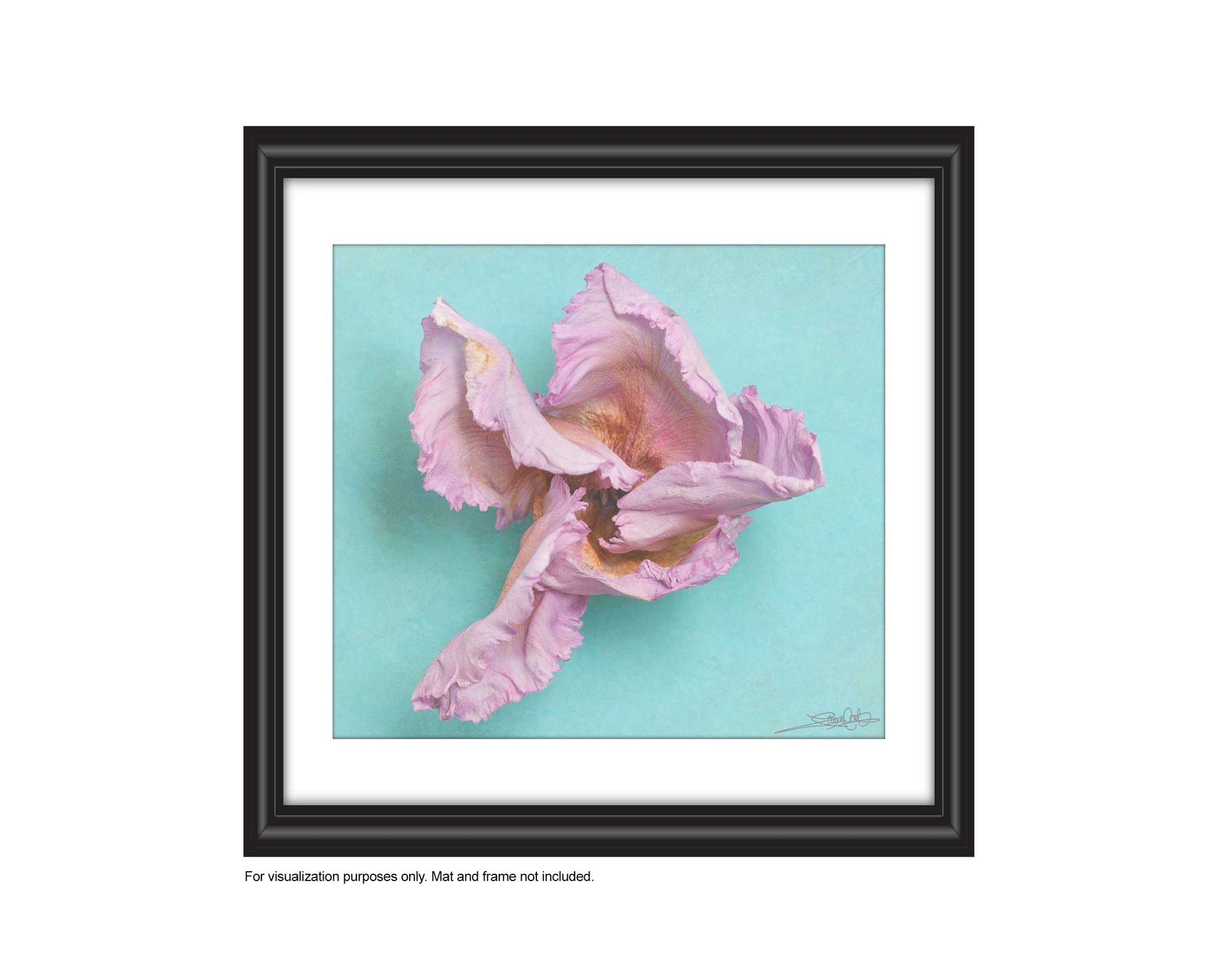 add to your art collection with theses colourful, inspiring photography prints by Laura Cook