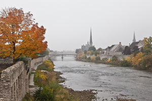 "A Grand View'  a photograph by Cambridge photographer Laura Cook of Millrace Park in the fall , looking up the Grand River towar Main Street Bridge and Central Prespbyterian, a seagul is flying up the middle on a foggy day