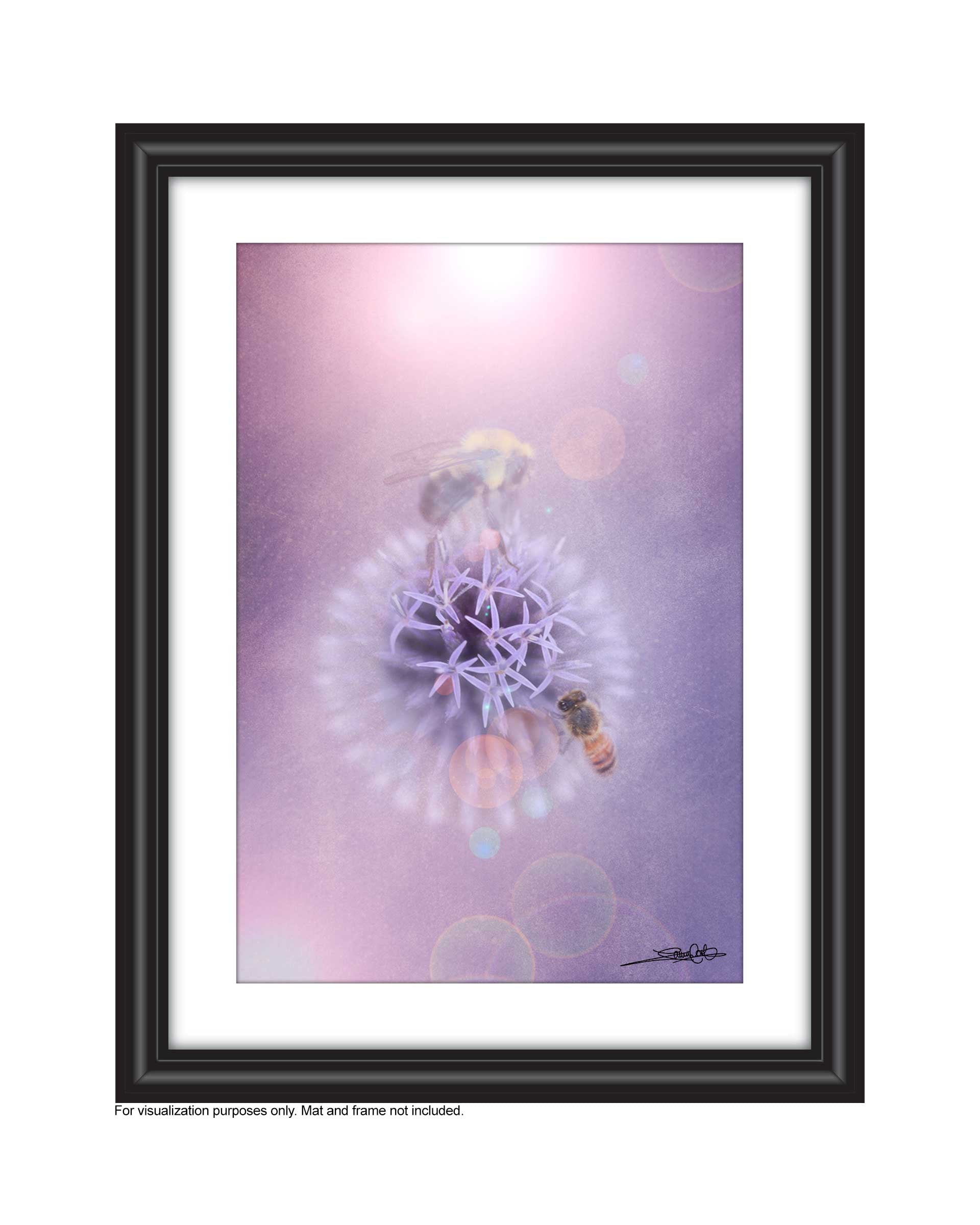 Affordable Art for your space by Laura Cook