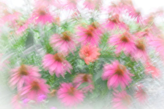 add to your art collection with theses colourful, inspiring photography prints by Laura Cook