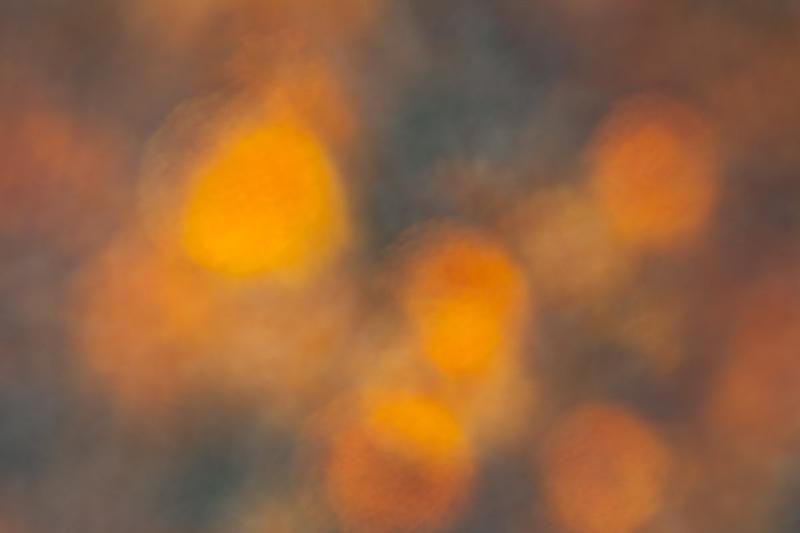 add to your art collection with theses colourful, inspiring photography prints by Laura Cook