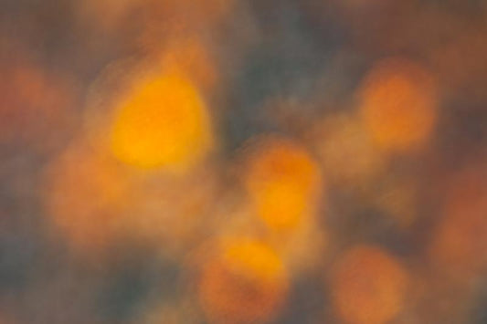 add to your art collection with theses colourful, inspiring photography prints by Laura Cook