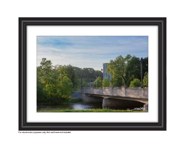 Photo by Cambridge Ontario Photographer Laura Cook of Vision Photography