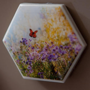 Start your art collection with these stunning magnets featuring Artist Laura Cook's Photograph