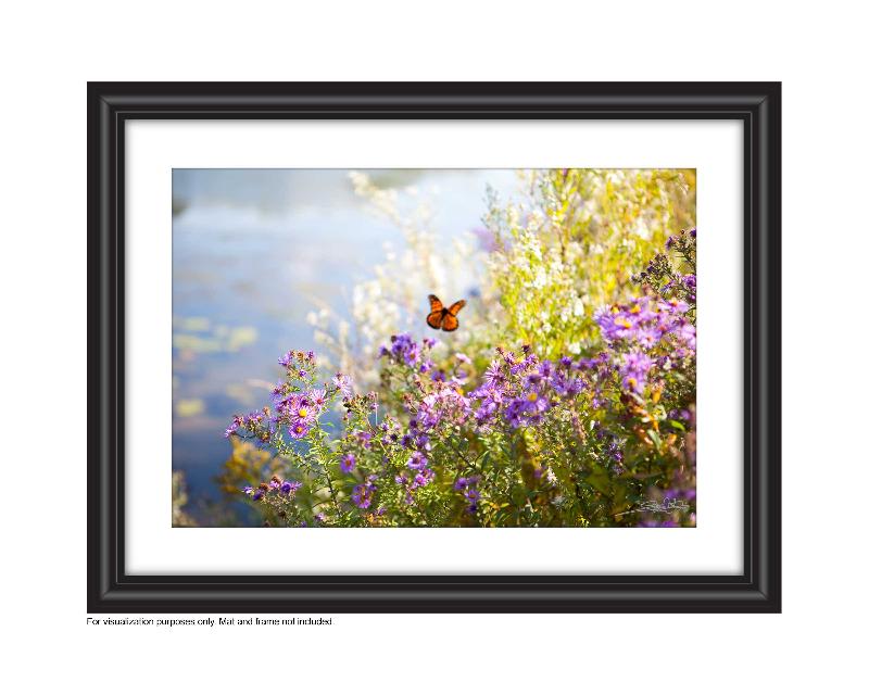 Affordable Art for your space by Laura Cook