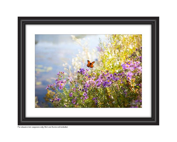 Affordable Art for your space by Laura Cook