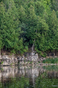 Gorgeous Cedars that line the Grand River flowing through Preston's Linear Trail Photo by Cambridge Ontario Photographer Laura Cook of Vision Photography
