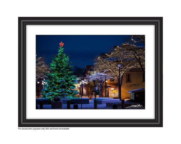 Photo of Christmas Tree in Queens Square Cambridge  Photo by Cambridge Ontario Photographer Laura Cook of Vision Photography
