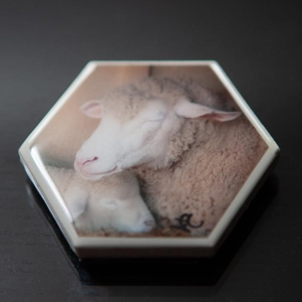 Start your art collection with these stunning magnets featuring Artist Laura Cook's Photograph