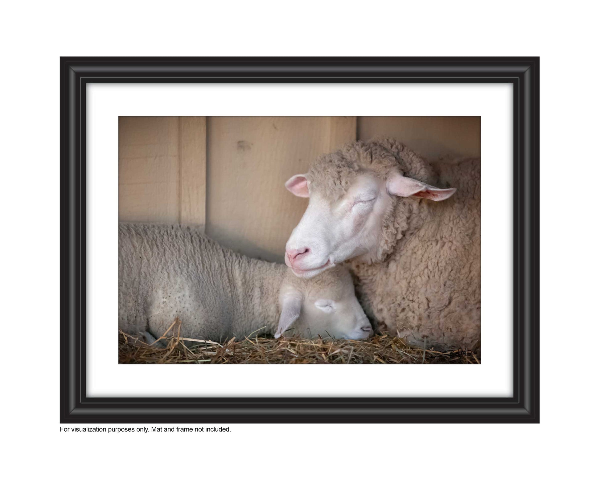 wall art sheep