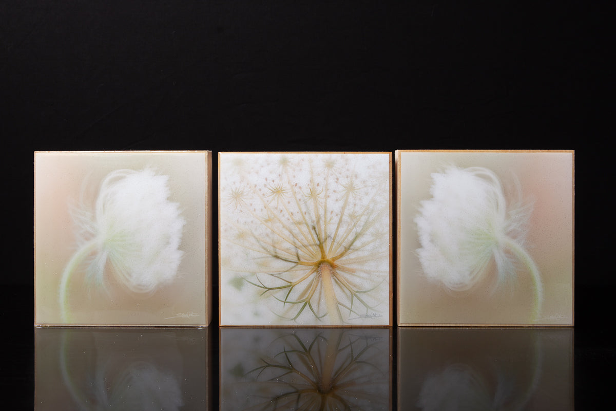 Wall Art Featuring Laura Cook's Photographs "Dream" encased in resin 