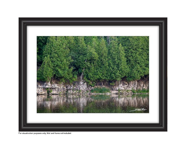 view of escarpment along the grand river view of Preston's linear trail photograph by cambridge ontario photographer laura cook 