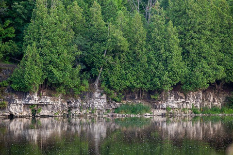 view of escarpment along the grand river view of Preston's linear trail photograph by cambridge ontario photographer laura cook 