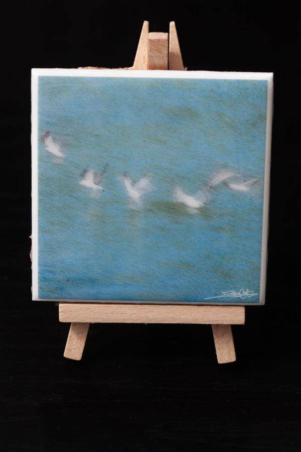 art mini for your home or office decor
