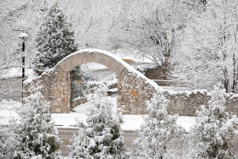 Frosted Arches of Millrace Park Galt in the Winter Photo by Cambridge Ontario Photographer Laura Cook of Vision Photography