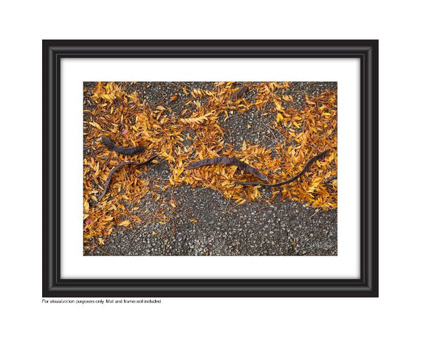 Photograph of yellow leaves and catalpa beans on the ground in the fall Photo by Cambridge Ontario Photographer Laura Cook of Vision Photography