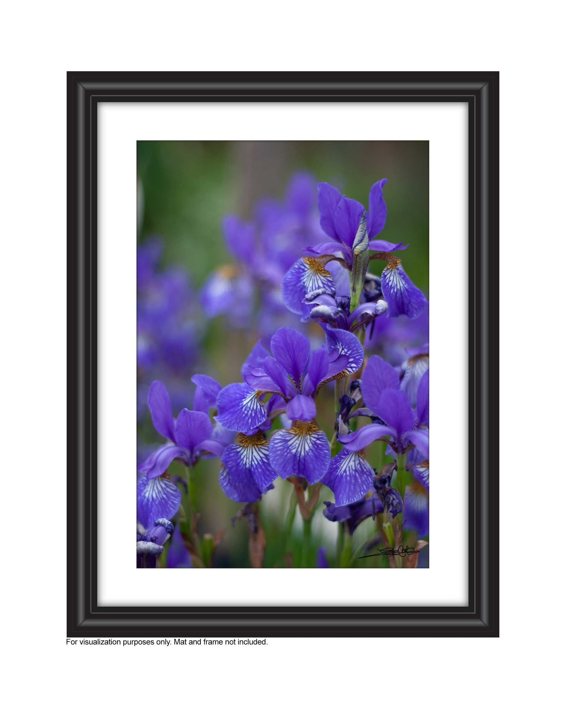 Affordable Art for your space by Laura Cook