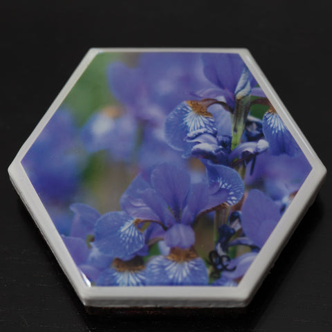 Start your art collection with these stunning magnets featuring Artist Laura Cook's Photograph
