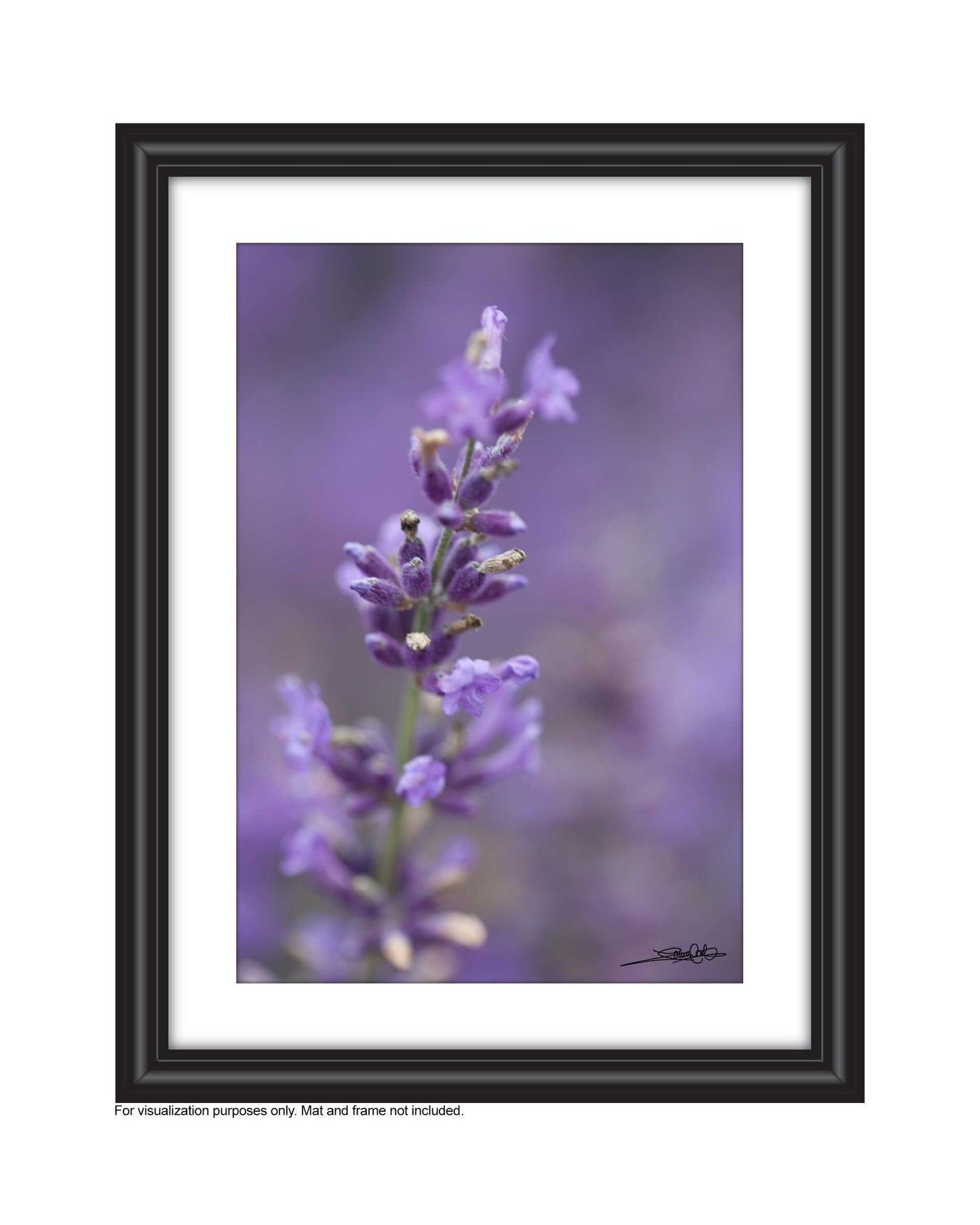 Affordable Art for your space by Laura Cook