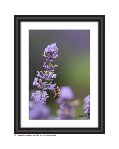 Affordable Art for your space by Laura Cook