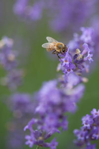 Sip - Photography Print