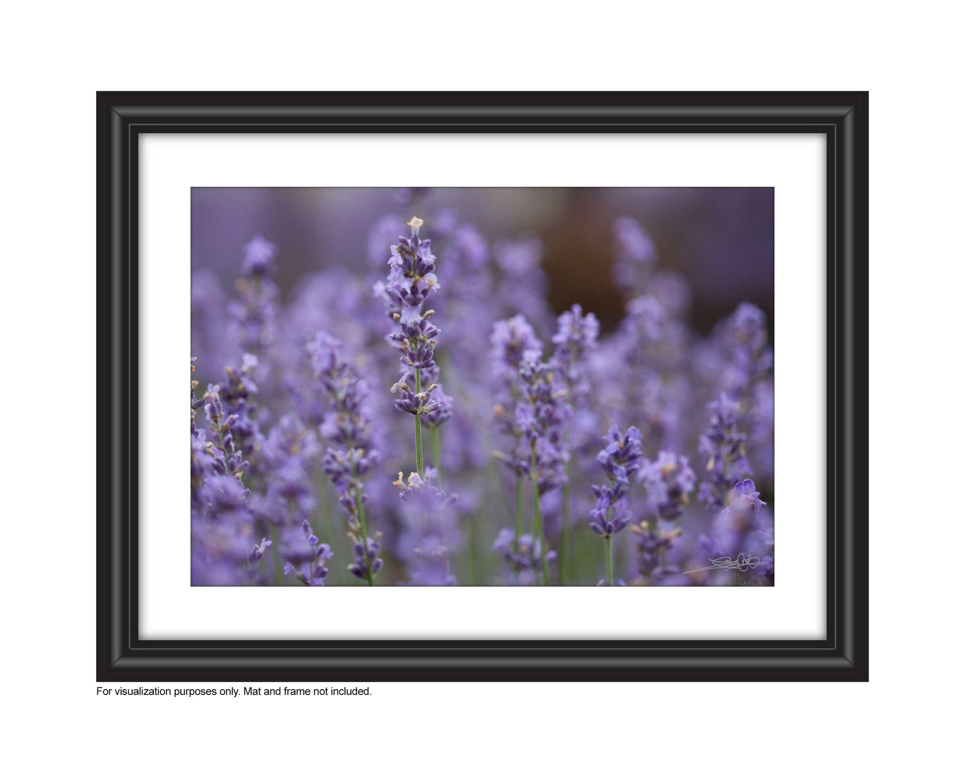 Affordable Art for your space by Laura Cook