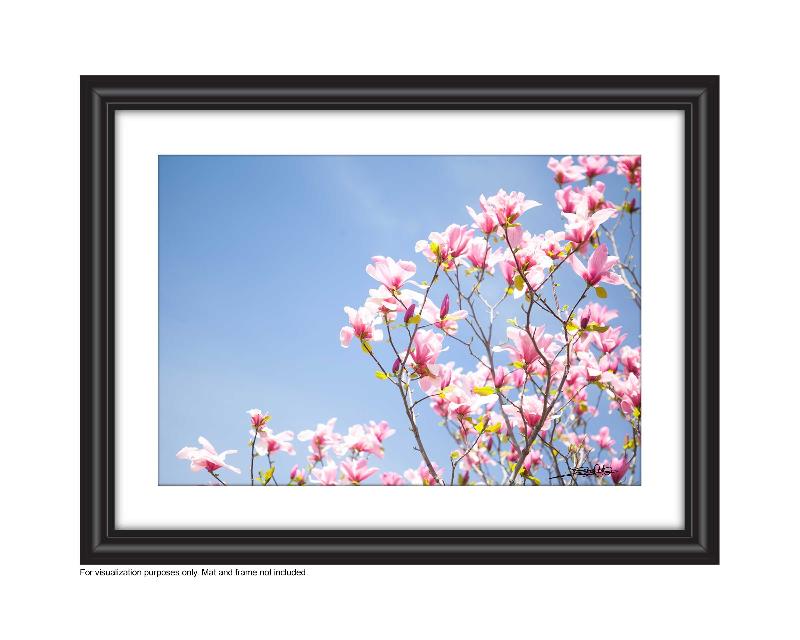 Affordable Art for your space by Laura Cook