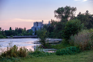 PH Milling in Preston Riverside Park Photo by Cambridge Ontario Photographer Laura Cook of Vision Photography