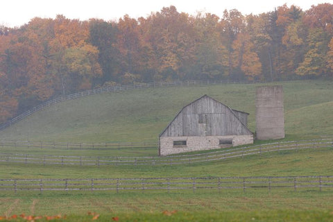 Photo of a Misty Barn set in the rolling hills and fall leaves in the background A uniquely rich photograph of fallen autumn maple leaves on a tree stump on the fall forest floor Photo by Cambridge Ontario Photographer Laura Cook of Vision Photography