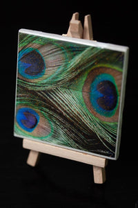 art mini for your home or office decor