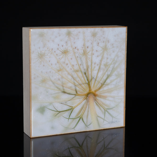 Wall Art Featuring Laura Cook's Photograph Dream, encased in resin 