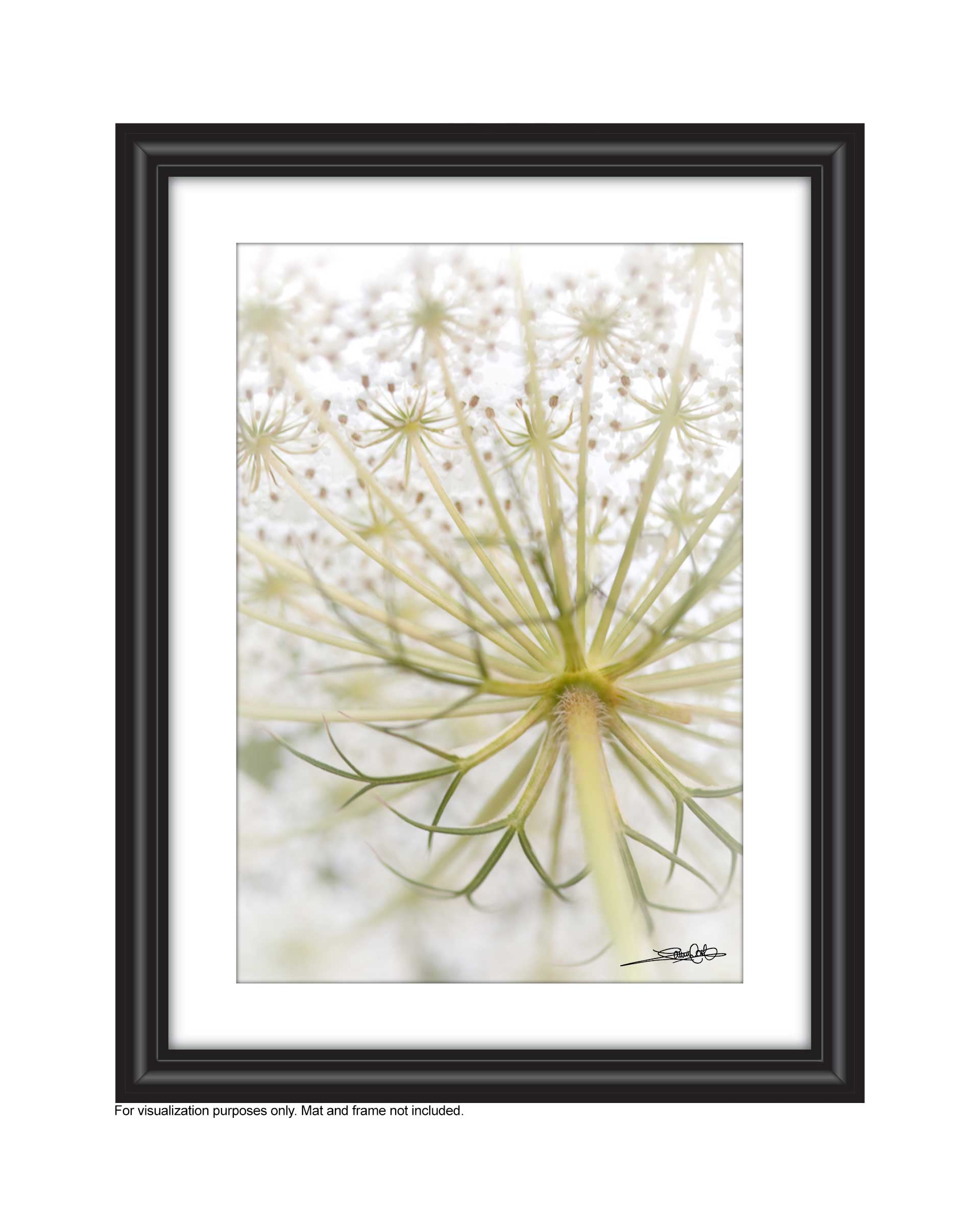 nature wall art 