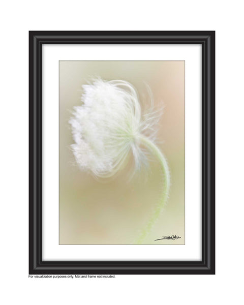 nature wall art 