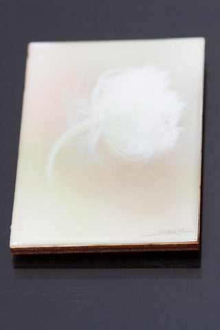 Start your art collection with these stunning magnets featuring Artist Laura Cook's Photograph