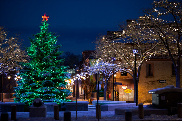 Photo of Christmas Tree in Queens Square Cambridge  Photo by Cambridge Ontario Photographer Laura Cook of Vision Photography