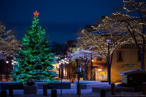 Photo of Christmas Tree in Queens Square Cambridge  Photo by Cambridge Ontario Photographer Laura Cook of Vision Photography