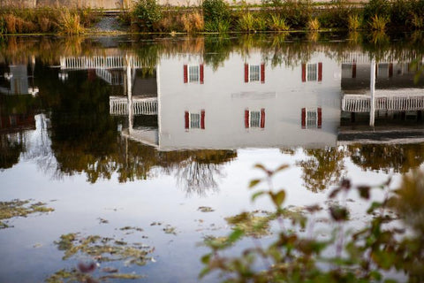 A quiet reflection along the Speed River in Preston's Riverside Park, photo by Laura Cook Vision Photography