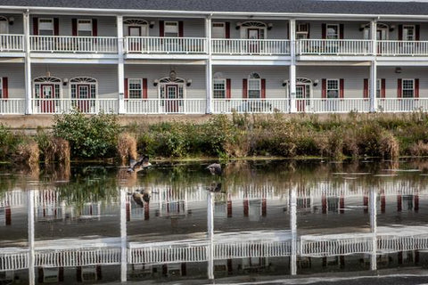 a common view in preston's riverside park photo by Laura Cook