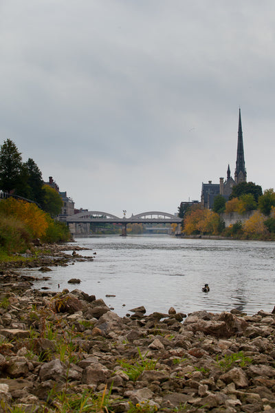 Grand River view of main street bridge and central presbyterian in the Fall Photo by Cambridge Ontario Photographer Laura Cook of Vision Photography