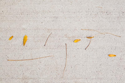 Yellow Fallen leaves on the concrete sidewalk look like hieroglyphics a fun photography Photo by Cambridge Ontario Photographer Laura Cook of Vision Photography