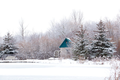 Churchill Park Cambridge in the Winter Photo by Cambridge Ontario Photographer Laura Cook of Vision Photography