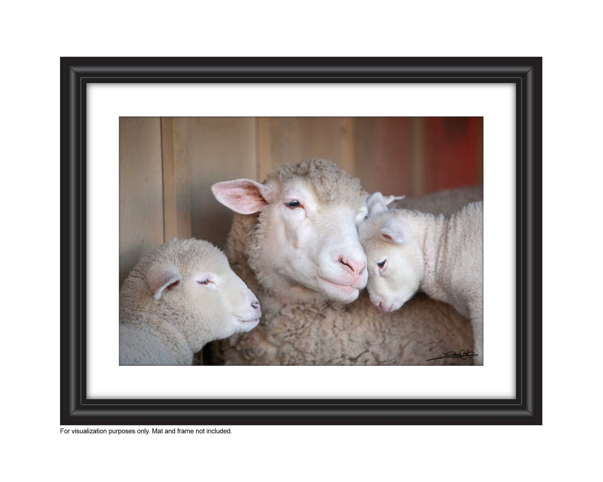 wall art sheep